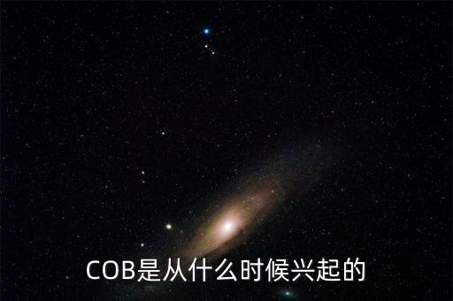 cob是什么意思，COB是什么