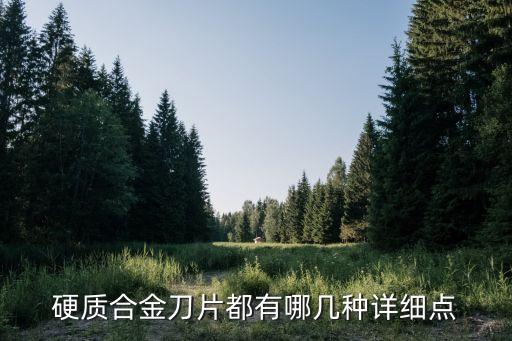 硬質(zhì)合金刀片都有哪幾種詳細(xì)點(diǎn)