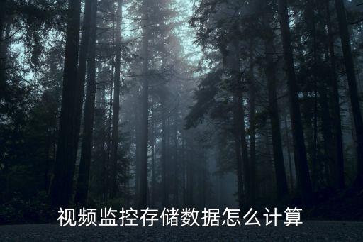 數(shù)字視頻的數(shù)據(jù)量計(jì)算,視頻監(jiān)控存儲(chǔ)數(shù)據(jù)怎么計(jì)算?