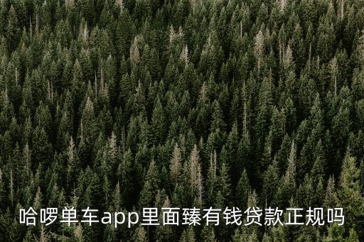 哈啰單車app里面臻有錢貸款正規(guī)嗎