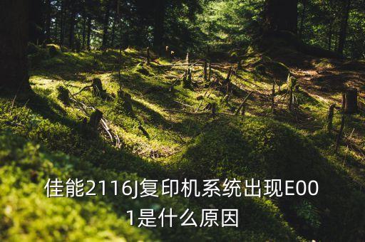 佳能2116J復(fù)印機(jī)系統(tǒng)出現(xiàn)E001是什么原因