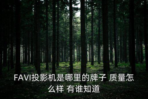 FAVI投影機(jī)是哪里的牌子 質(zhì)量怎么樣 有誰知道