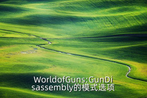 gundisassembly2全槍支數(shù)據(jù)包