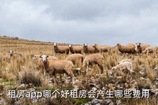搜房網(wǎng) 數(shù)據(jù),四大房地產(chǎn)網(wǎng)絡(luò)平臺之一:搜房網(wǎng)專注于房產(chǎn)