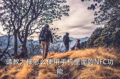 請教大神怎么使用手機里面的NFC功能