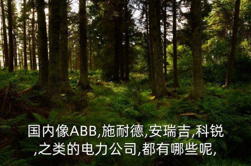 國(guó)內(nèi)像ABB,施耐德,安瑞吉,科銳,之類的電力公司,都有哪些呢,