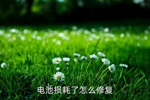電瓶修復，電池損耗了怎么修復