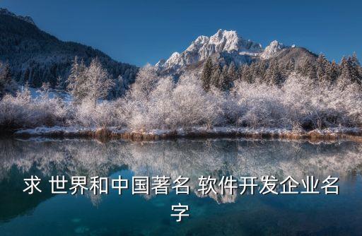 求 世界和中國著名 軟件開發(fā)企業(yè)名字