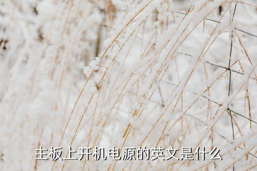 主板上開機(jī)電源的英文是什么