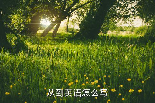 從到英語怎么寫