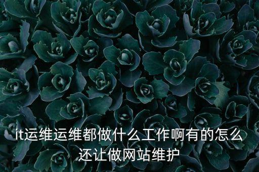 it運維運維都做什么工作啊有的怎么還讓做網(wǎng)站維護