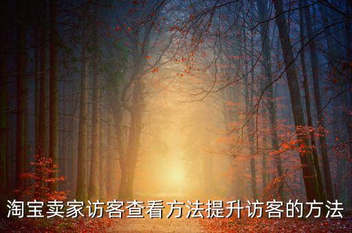 淘寶 訪問(wèn)數(shù)據(jù),淘寶后臺(tái)數(shù)據(jù)怎么看