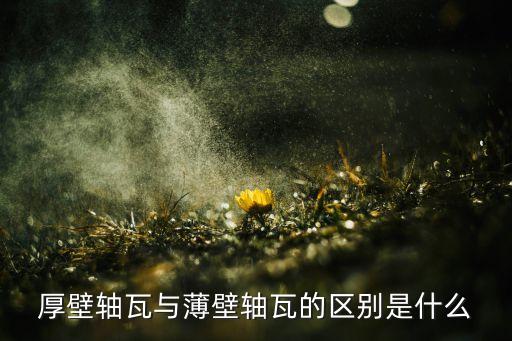 厚壁軸瓦與薄壁軸瓦的區(qū)別是什么