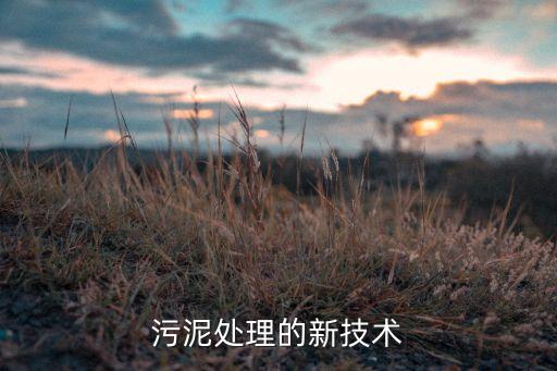 污泥處理的新技術(shù)