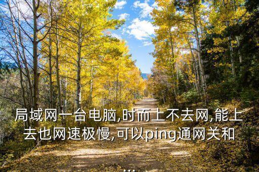 ping大數(shù)據(jù),如何使用icmp協(xié)議發(fā)送數(shù)據(jù)包?
