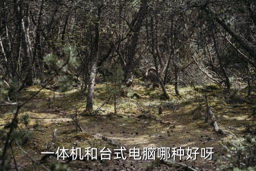 一體機(jī)和臺(tái)式機(jī)哪個(gè)好，家用電腦一體機(jī)和臺(tái)式機(jī)哪種好
