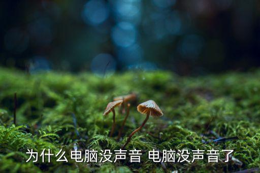 為什么電腦沒聲音 電腦沒聲音了