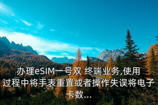 辦理eSIM一號雙 終端業(yè)務,使用過程中將手表重置或者操作失誤將電子卡數(shù)...
