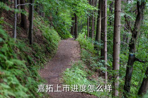  嘉拓上市進度怎么樣
