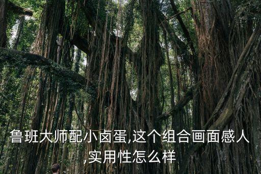 魯班大師配小鹵蛋,這個(gè)組合畫面感人,實(shí)用性怎么樣