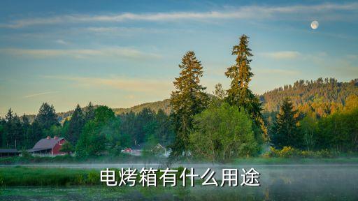 電烤箱有什么用途