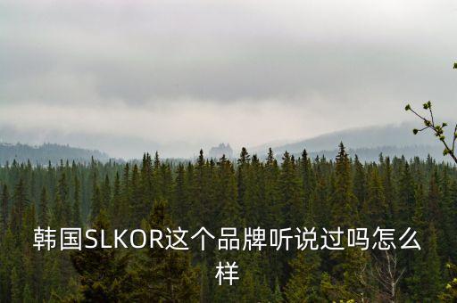 韓國SLKOR這個品牌聽說過嗎怎么樣