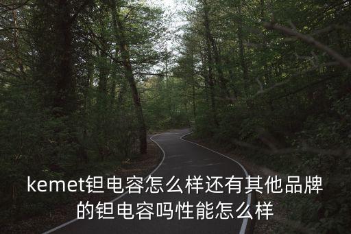 kemet鉭電容怎么樣還有其他品牌的鉭電容嗎性能怎么樣