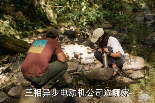 三相異步電動機公司選哪家