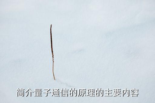 簡介量子通信的原理的主要內(nèi)容