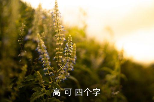 高可，高可二黍許古今意思