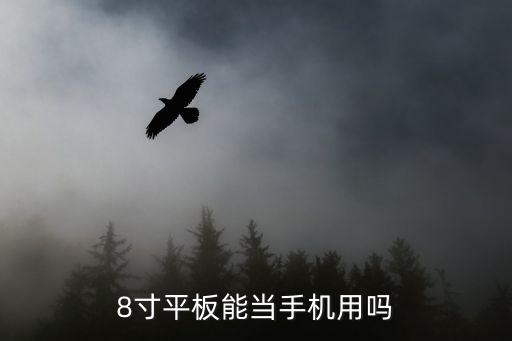 8寸平板能當(dāng)手機(jī)用嗎