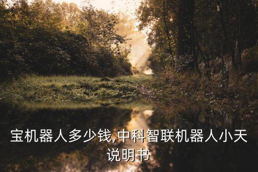 智聯(lián)寶機(jī)器人多少錢,中科智聯(lián)機(jī)器人小天說明書