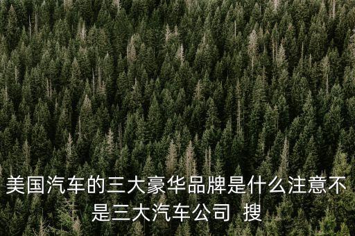 特斯拉算豪車嗎，新能源車最貴的是什么車