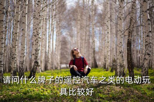 遙控車玩具，請問什么牌子的遙控汽車之類的電動玩具比較好