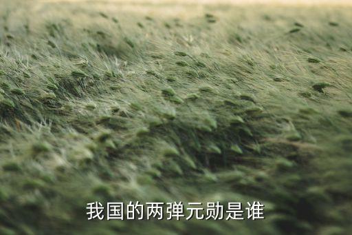 我國(guó)的兩彈元?jiǎng)资钦l(shuí)