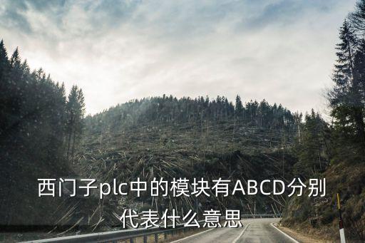 西門子plc模塊，西門子plc由哪些模塊組成