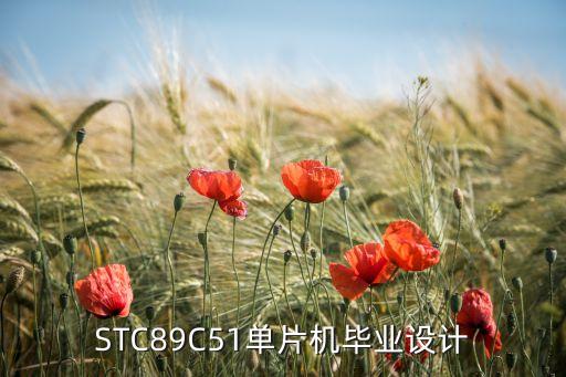 單片機(jī)畢業(yè)設(shè)計(jì)，單片機(jī)的畢業(yè)設(shè)計(jì)做什么比較簡單