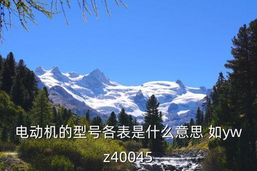 電動機(jī)的型號各表是什么意思 如ywz40045