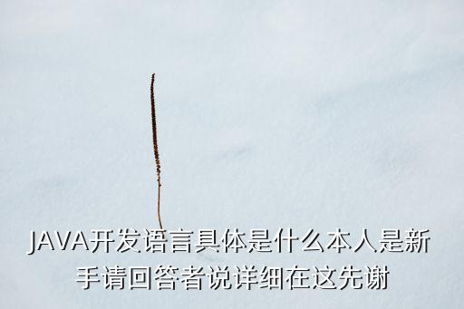 JAVA開發(fā)語(yǔ)言具體是什么本人是新手請(qǐng)回答者說(shuō)詳細(xì)在這先謝