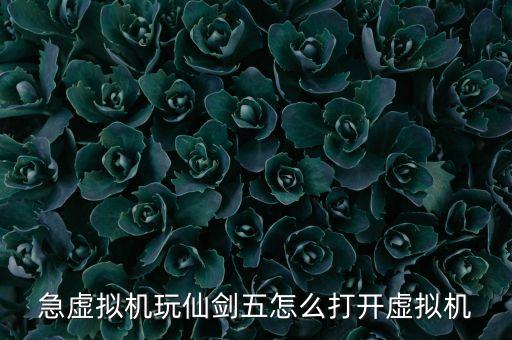 急虛擬機(jī)玩仙劍五怎么打開虛擬機(jī)