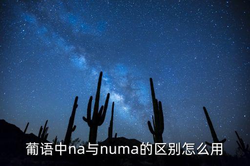 葡語中na與numa的區(qū)別怎么用