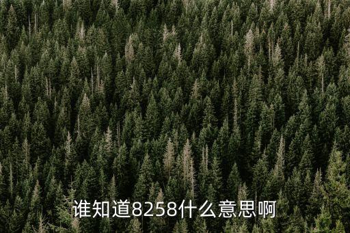 誰(shuí)知道8258什么意思啊
