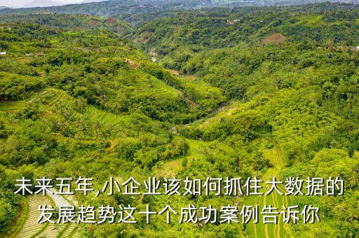 未來(lái)五年,小企業(yè)該如何抓住大數(shù)據(jù)的發(fā)展趨勢(shì)這十個(gè)成功案例告訴你