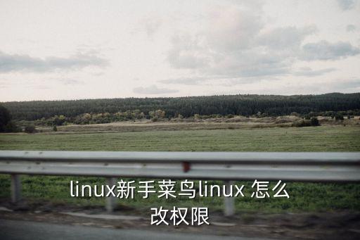 linux新手菜鳥(niǎo)linux 怎么改權(quán)限