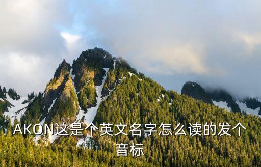 AKON這是個(gè)英文名字怎么讀的發(fā)個(gè)音標(biāo)