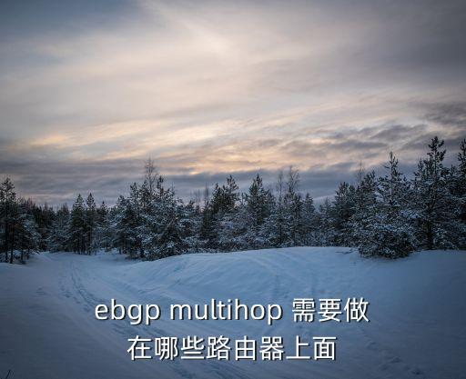ebgp multihop 需要做在哪些路由器上面