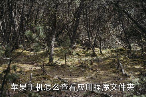 蘋果手機(jī)怎么查看應(yīng)用程序文件夾