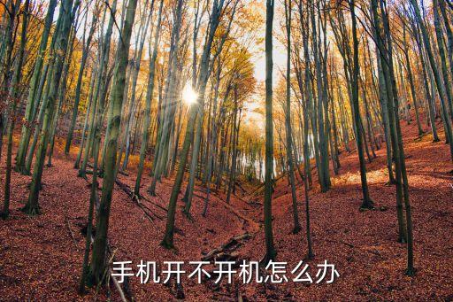 手機關(guān)機后開不了機怎么辦，手機開不開機怎么辦