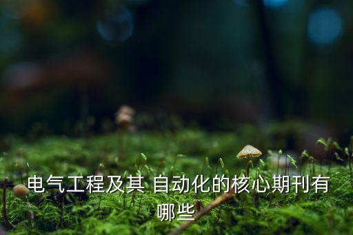 電氣自動(dòng)化快捷晚餐推薦