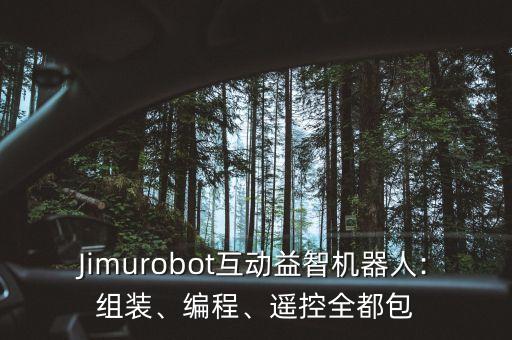 自制遙控玩具機(jī)器人,自主智能機(jī)器人怎么玩?